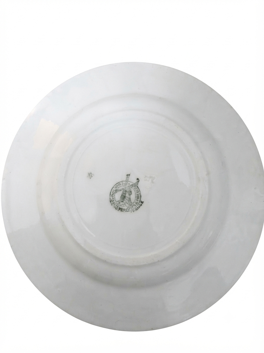 Assiette ancienne faïence Vieux Saint-Amand — Décor coq & frise rose (24 cm)